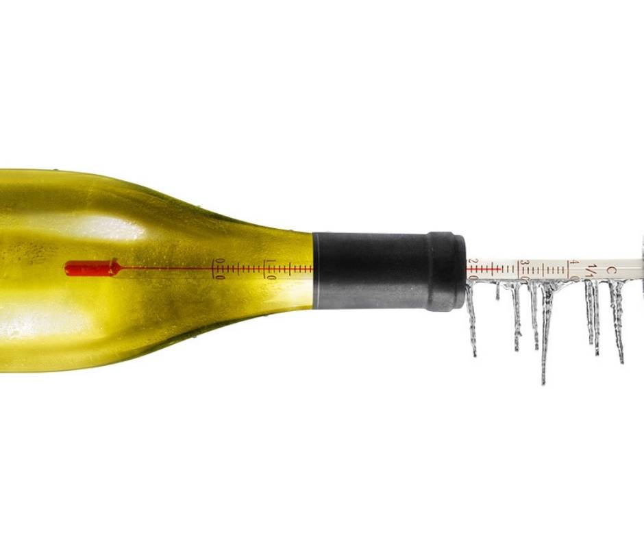 Qual a temperatura correta para o vinho?